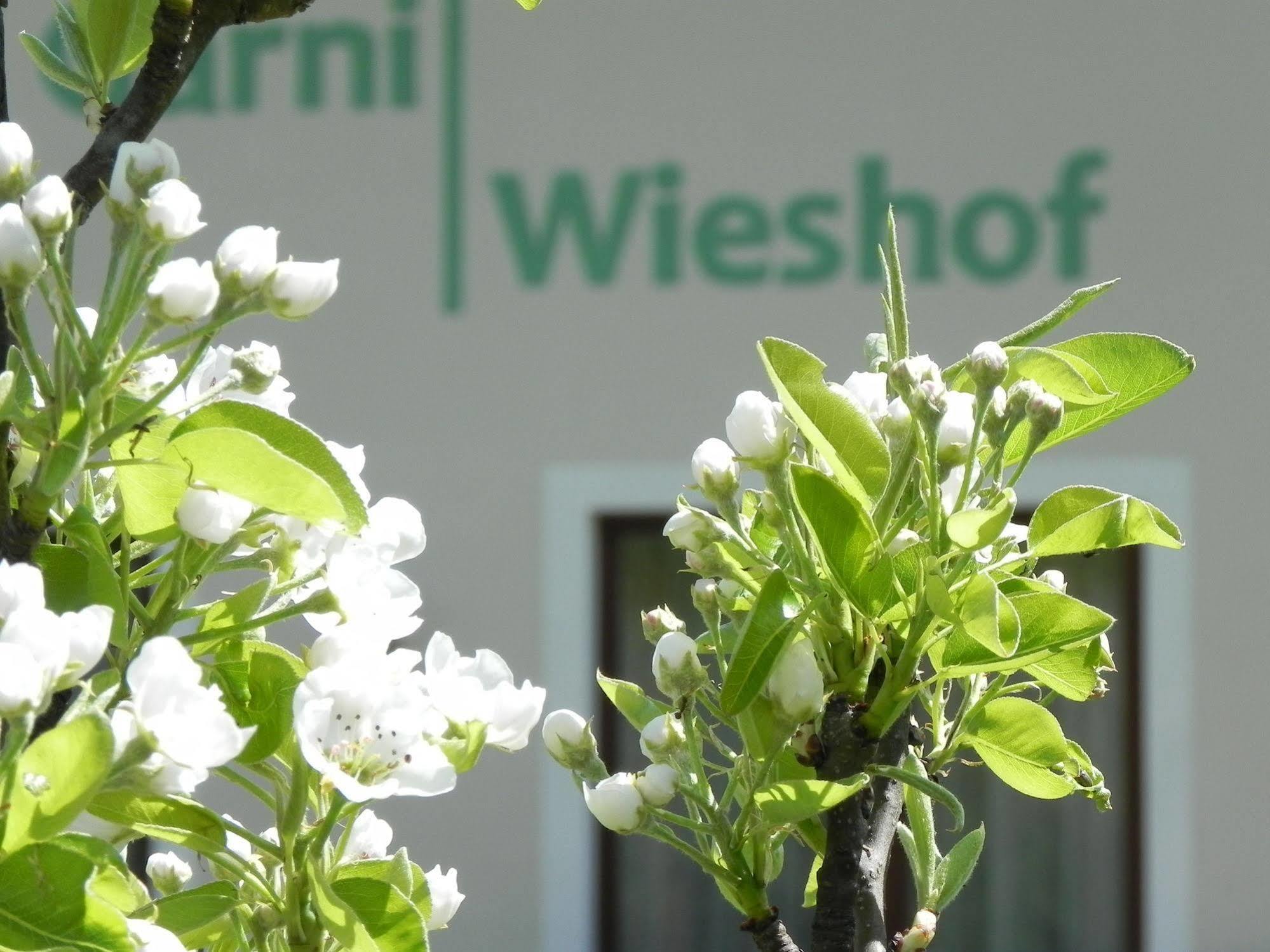 Hotel Garni Wieshof Rauris Exterior photo